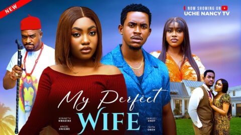 MY PERFECT WIFE