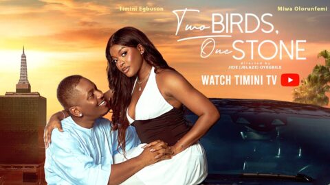 TWO BIRDS ONE STONE